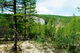 ��� � ������� ����� (����� �������)