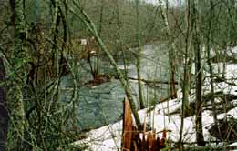 �.�������