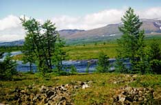 �.���-�����