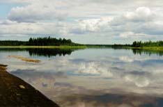 � ����� �.������