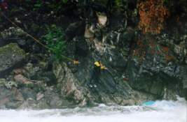 ����������